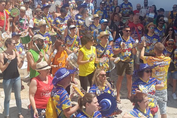 Mega Samba 2019-07-29 at 10.49.56