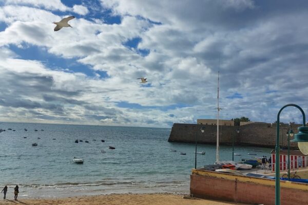 CabalgataHumorCadiz2023 (15)