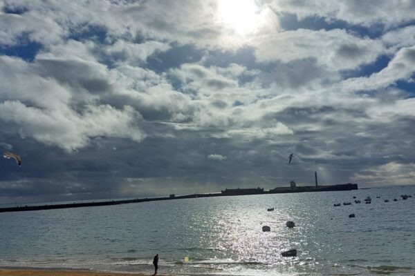 CabalgataHumorCadiz2023 (4)