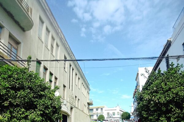 MarchaRosa-Carmona-2025 (2) MarchaRosa-Carmona-2025 (2)