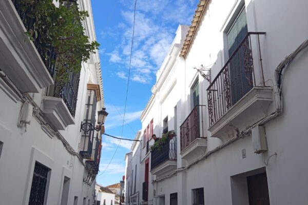 MarchaRosa-Carmona-2025 (21) MarchaRosa-Carmona-2025 (21)