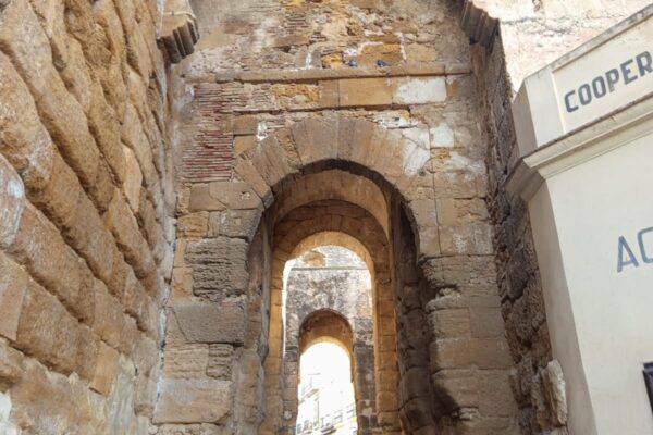 MarchaRosa-Carmona-2025 (9) MarchaRosa-Carmona-2025 (9)